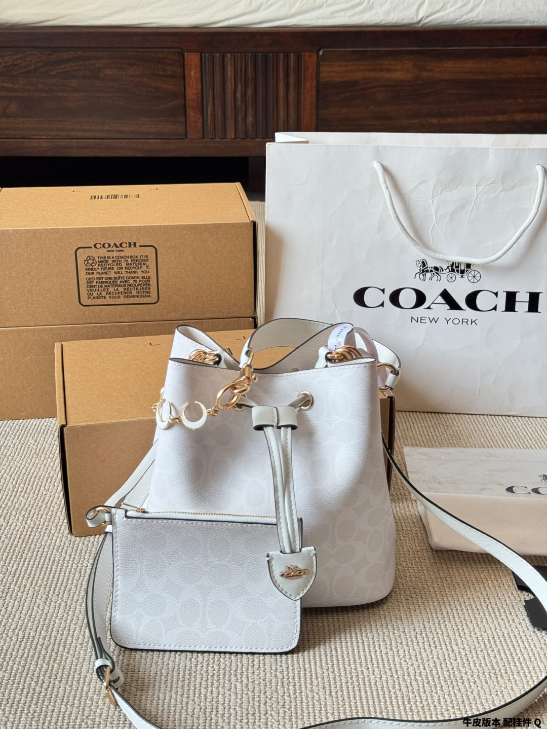 coach bag 10